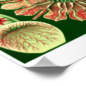 Plate 98. Beschwerden. Poster (Ecke)