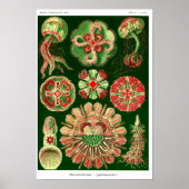 Plate 98. Beschwerden. Poster (Vorne)