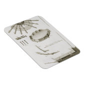 Plate XX: Die Ausbreitung und Arbeitsweise der Ped Magnet (Rechte Seite)