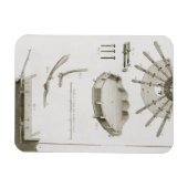 Plate XX: Die Ausbreitung und Arbeitsweise der Ped Magnet (Horizontal)