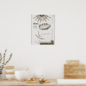 Plate XX: Die Ausbreitung und Arbeitsweise der Ped Poster (Küche)