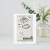 Plate XX: Die Ausbreitung und Arbeitsweise der Ped Postkarte (Stehend Vorderseite)