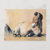 Plateau Sun Postkarte (Vorderseite)