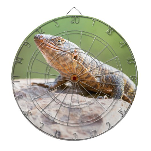 Plated Lizard Dartscheibe (vorne)