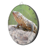 Plated Lizard Dartscheibe (Vorderseite rechts)