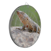 Plated Lizard Dartscheibe (Vorderseite Links)