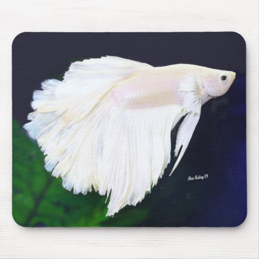 Platin Betta Fische Mousepad (Vorne)