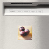 Platin Still Life Magnet (In Situ (Geschirrspüler))