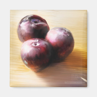 Platin Still Life Magnet