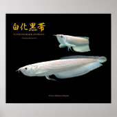 Platinum Black Arowana の ポ タ ス Poster (Vorne)