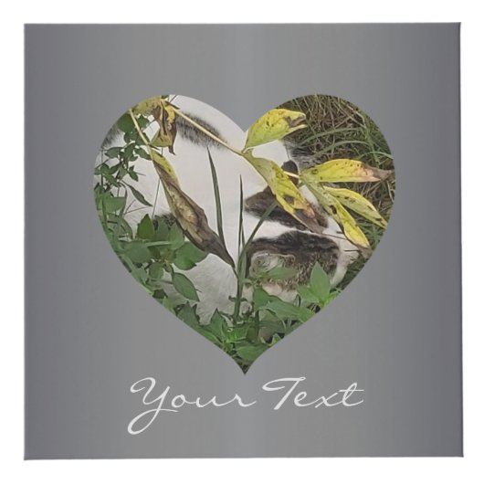 Platinum Heart Frames 4 Fotos Würfel (Rechts)