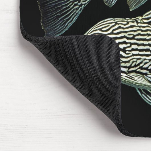 Platinum Royal Pleco Mousepad (Ecke)