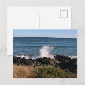 Platsch! Postkarte (Vorne/Hinten)