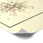 Platte 13 Flagellata Poster (Ecke)