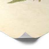 Platte 169 | Mangrove Cuckoo | Vögel in Amerika Poster (Ecke)