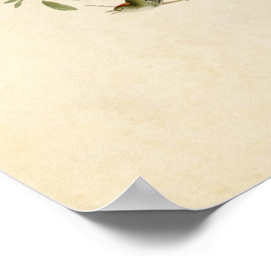 Platte 195 | Ruby-Crowned Wren | Vögel in Amerika Poster (Ecke)