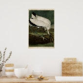 Platte 216 | Holz Ibis | Vögel in Amerika Poster (Küche)