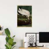 Platte 216 | Holz Ibis | Vögel in Amerika Poster (Heimbüro)