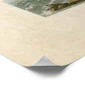 Platte 223 | Pied Oystercatcher | Vögel in Amerika Poster (Ecke)