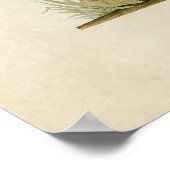 Platte 228 | American Green Winged Aquamarin Poster (Ecke)