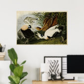 Platte 246 | Edier Duck | Vögel in Amerika Poster (Heimbüro)