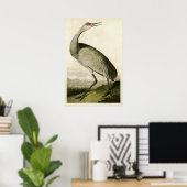 Platte 261 | Kranwagen | Vögel in Amerika Poster (Heimbüro)