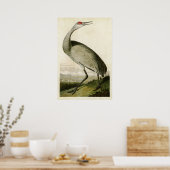 Platte 261 | Kranwagen | Vögel in Amerika Poster (Küche)