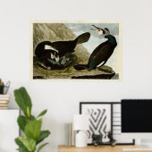 Platte 266 | Kormoran | Vögel in Amerika Poster (Heimbüro)