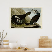 Platte 266 | Kormoran | Vögel in Amerika Poster (Küche)