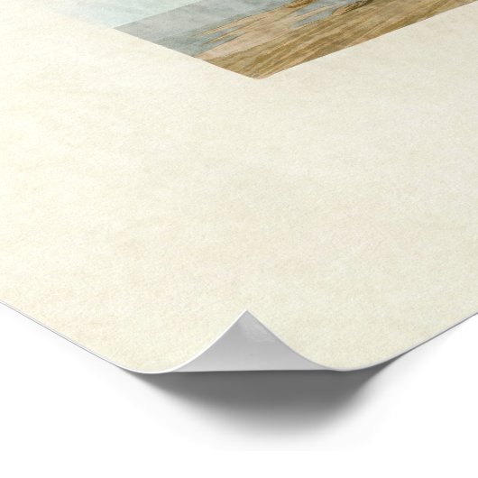 Platte 294 | Sandpieter | Vögel in Amerika Poster (Ecke)