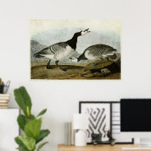 Platte 296 | Barnacle Goose | Vögel in Amerika Poster (Heimbüro)