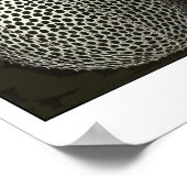 Platte 31 Kirtoidee Poster (Ecke)