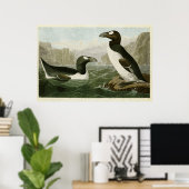 Platte 341 | Großer Aug | Vögel in Amerika Poster (Heimbüro)
