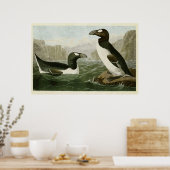 Platte 341 | Großer Aug | Vögel in Amerika Poster (Küche)