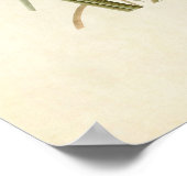 Platte 355 | MacGillivray's Finch Poster (Ecke)