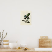 Platte 357 | American Magpie | Vögel in Amerika Poster (Küche)