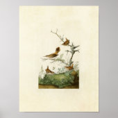 Platte 360 | Winter und Rock Wrens Poster (Vorne)