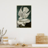 Platte 366 | Island oder Jer Falcon Poster (Küche)