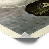 Platte 366 | Island oder Jer Falcon Poster (Ecke)