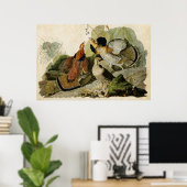 Platte 41 | Ruffed Grouse | Vögel in Amerika Poster (Heimbüro)