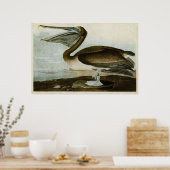 Platte 421 | Brown Pelican | Vögel in Amerika Poster (Küche)