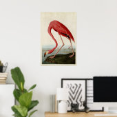 Platte 431 | American Flamingo | Vögel in Amerika Poster (Heimbüro)