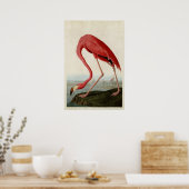 Platte 431 | American Flamingo | Vögel in Amerika Poster (Küche)