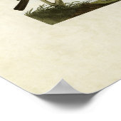 Platte 433 | Orioles, Goldfinch und Thrushes Poster (Ecke)