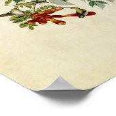 Platte 47 | Ruby-Throated Hummingbird Poster (Ecke)
