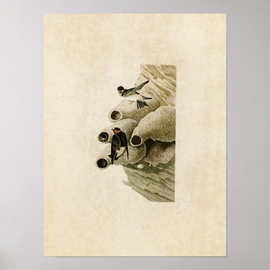 Platte 68 | Republikaner oder Cliff Swallow Poster (Vorne)
