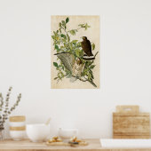 Platte 91 | Winged Hawk | Vögel in Amerika Poster (Küche)