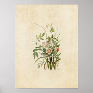 Platte 93   Küstenfinale   Vögel in Amerika Poster