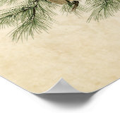 Platte 97 | Little Screech Owl | Vögel in Amerika Poster (Ecke)