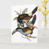 Platte-berechneter Berg Toucan Karte (Gelbe Blume)